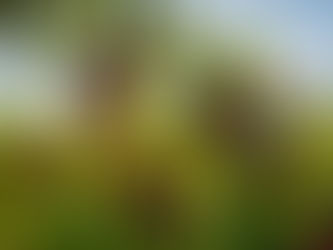 British Growers Need More Support