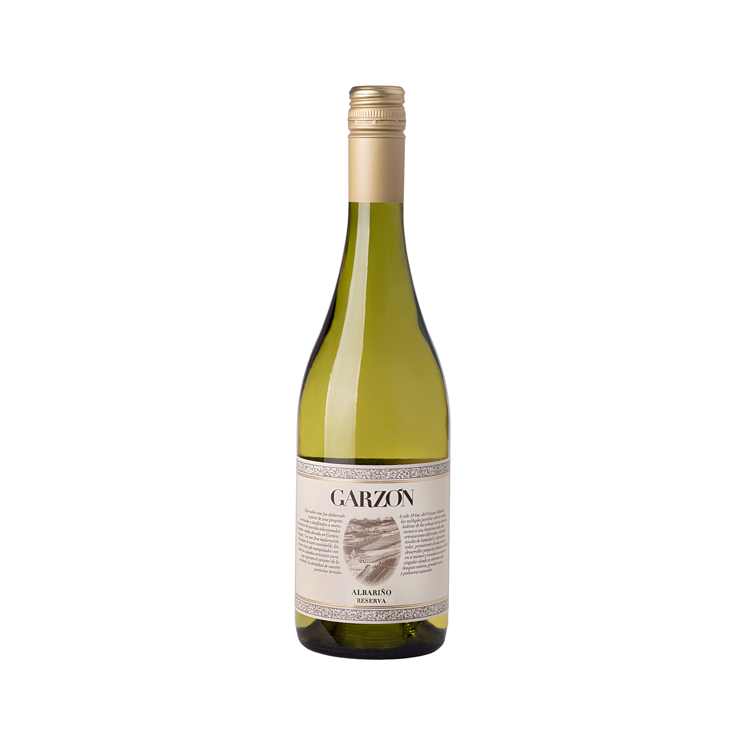 Vino Garzón Albariño Reserva