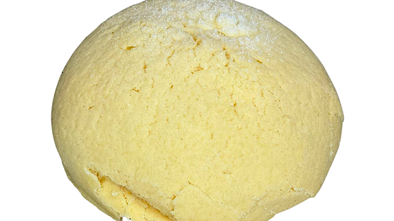 CONCHA GOURMET BLANCA