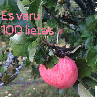 Ja esi palicis bez darba