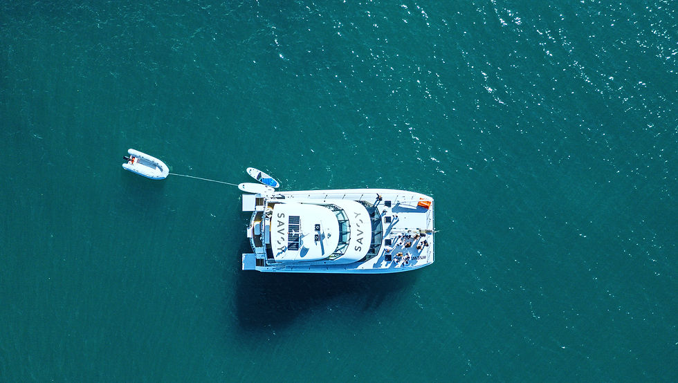Copy of DJI_0729 v2.jpg