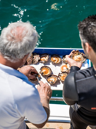 Copy of DSC00292.jpg