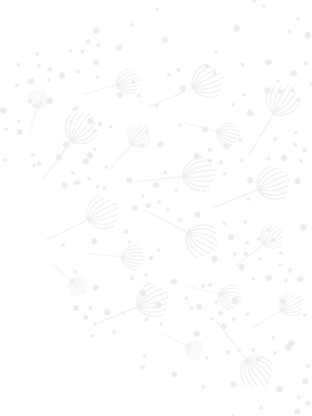 Us BrasilAtivo 3.png