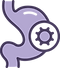 Ilustração de Estomago