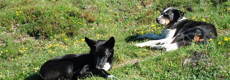 DSC00945.JPG