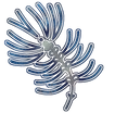 PINE_E.png