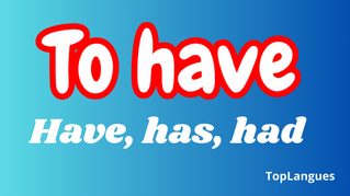 Have, has, had - exercises