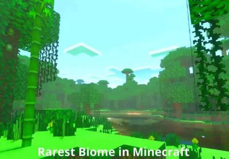 Copy of Rarest Biome in Minecraft