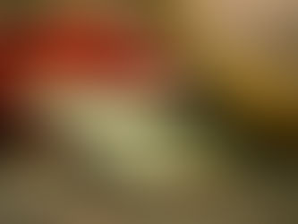 Live Auctions: Are You Losing Money On Procurement?