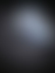 Hızın ve Stilin Temsilcisi: adidas EVO SL