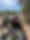 Austin-Brush-Removal.webp