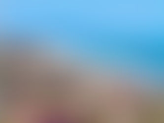 "Refúgio Tropical: As Praias de Ponta Negra e Nísia Floresta Esperam por Você"