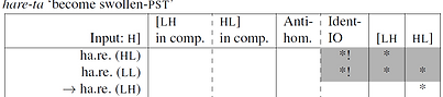 optimality theory