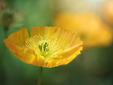 Even More Ways to Be Mindful in Everyday Life