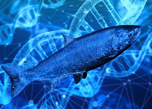 פולינוקלאיטידים במרכז אוסטראה בנתניה לטיפול במרקם ואיכות העור