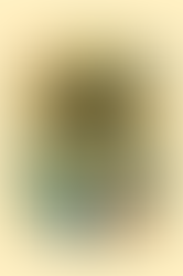 Promoting Inclusivity with the Hidden Disabilities Sunflower Project