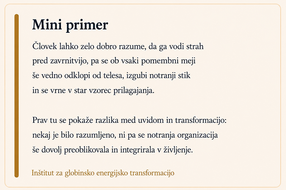 Kartica Inštituta za globinsko energijsko transformacijo z mini primerom, ki prikazuje razliko med razumevanjem vzorca in njegovo dejansko integracijo ter preoblikovanjem v življenju.