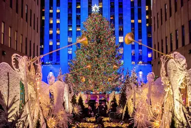 7 Top Live Holiday Performances