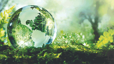 The Sustainability Mavericks Transforming the Future