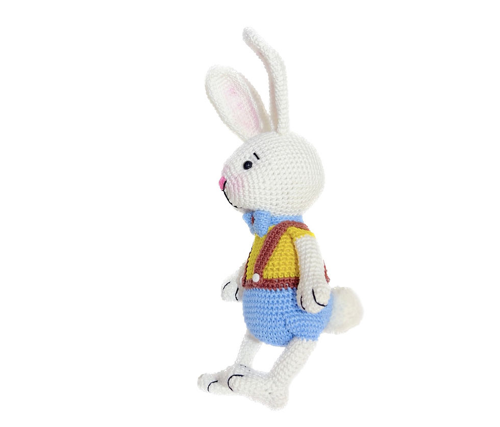 Miniatura: COELHO BORIS 