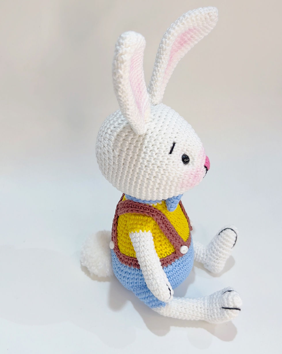 Miniatura: COELHO BORIS 