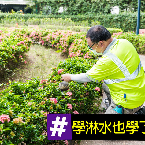 【💪🏻你哋揀! 我哋撐💪🏻 - 我唔係花王,我係園藝師及樹藝師】第一章