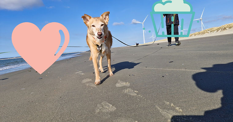 Urlaub am Strand Biondi