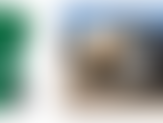 City provides guidelines for new side load sanitation truck service