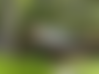 Cherokee Nation offering fall education tours