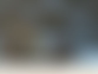 Firefighters rescue deer stuck on ice