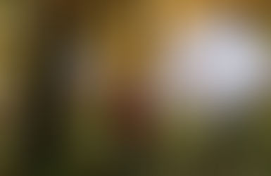 Muzzleloader Season kicks off Saturday