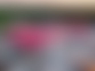 Cherokee Nation to Open $20M Durbin Feeling Language Center