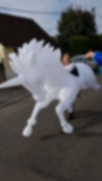 LICORNE LUMINEUSE