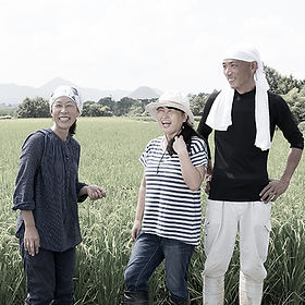 松本農園です! まつもと農園｜香川県 綾歌郡 綾川町684－2 ｜きゅうり いちご狩り