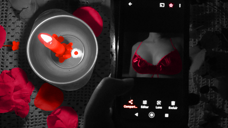 Sem tato, com prazer