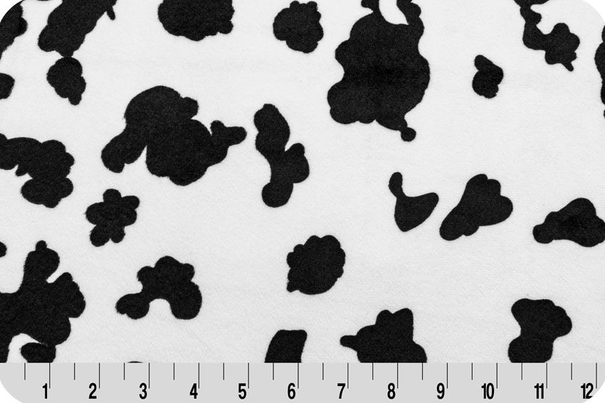 Black and White Cow