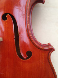 A small viola