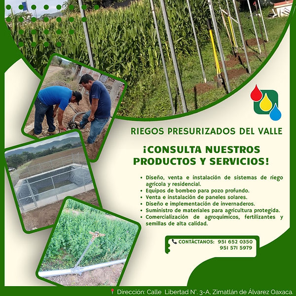 Servicios RPV