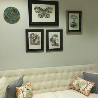 Mariposas & Baobab