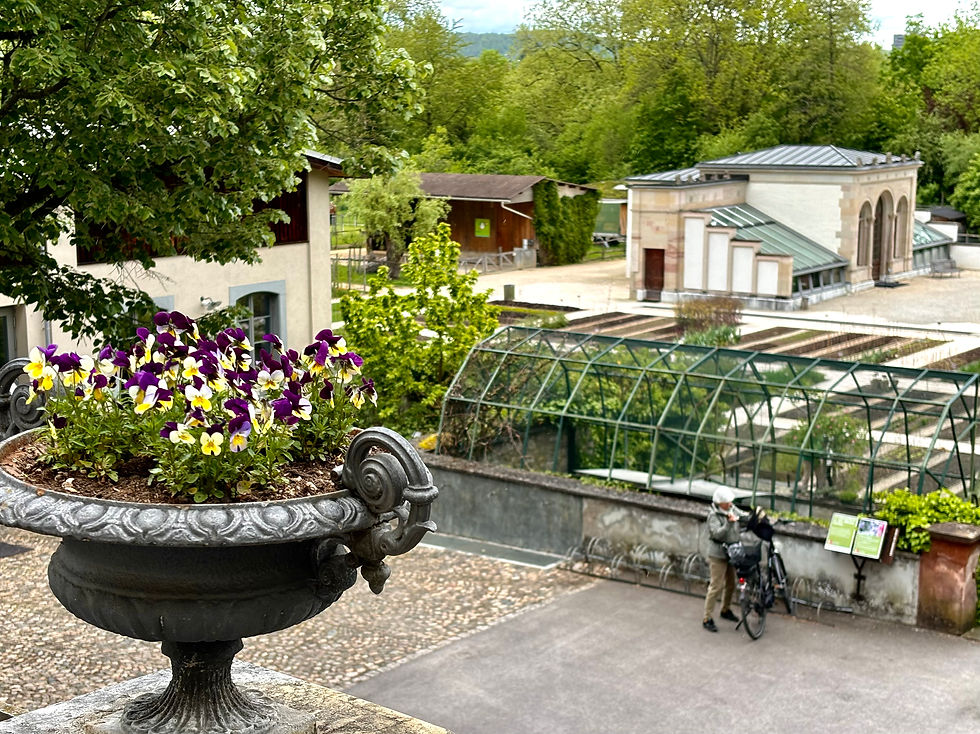 Ausblick auf die Merian Gärten.
