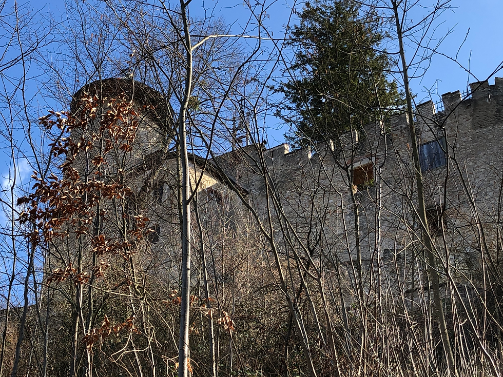 Auf dem Weg nach Oben gelangt ihr schließlich zur Burg Birseck.