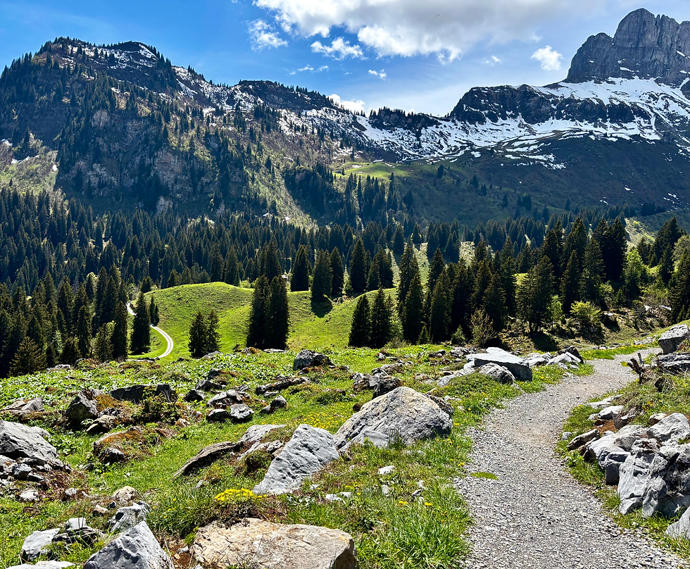 Dieses Bild entstand auf meinem Rückweg vom Oberblegisee zum Bächibeizli. Doch statt den oberen Weg zu nehmen, entschied ich ich für den unteren, den ihr auf der linken Seite seht. Fataler Irrtum meinerseits 😬