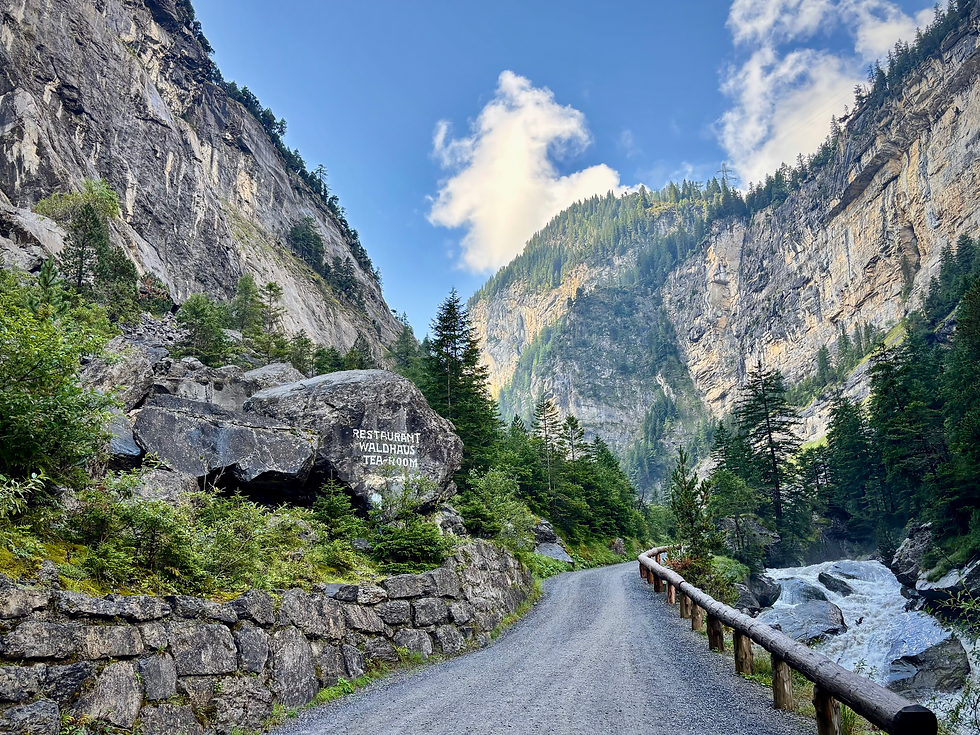 Weiter gehts Richtung Restaurant Waldhaus.