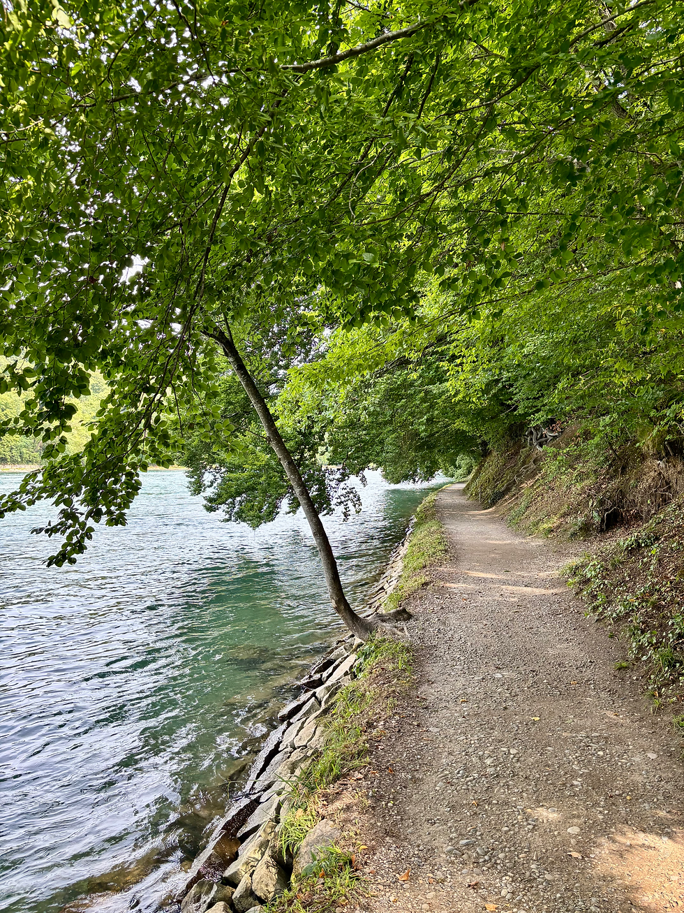 Dieser schöne Wanderweg führte uns anschliessend wieder Flussaufwärts zum Schloss.