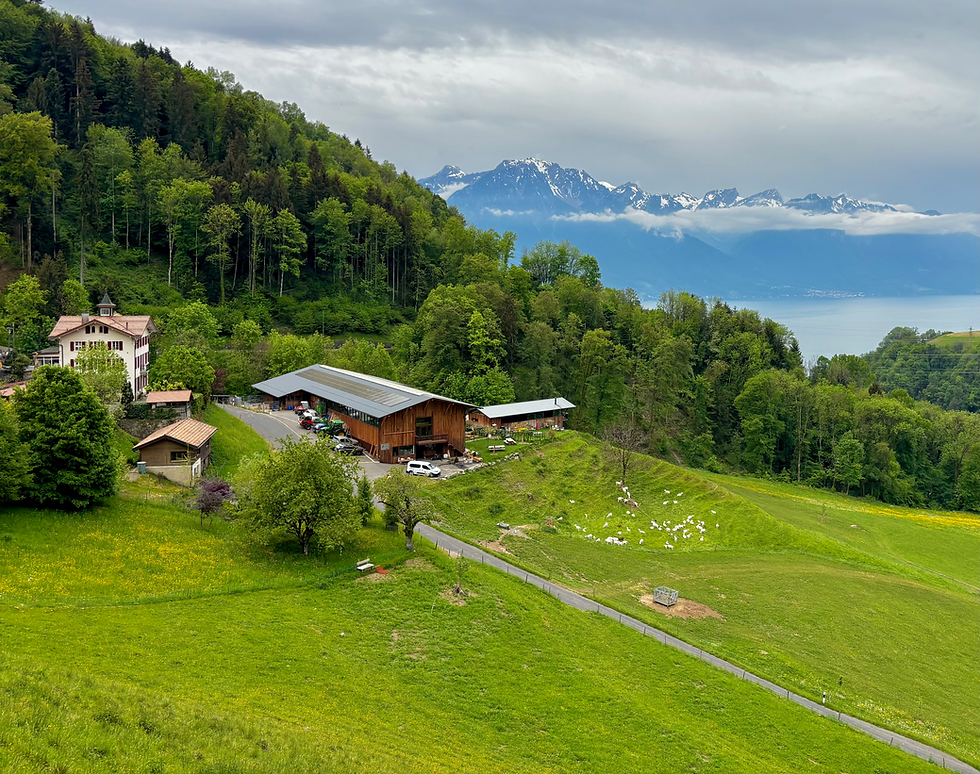 Auf der Route des Avants mit Aussicht auf den Genfersee.