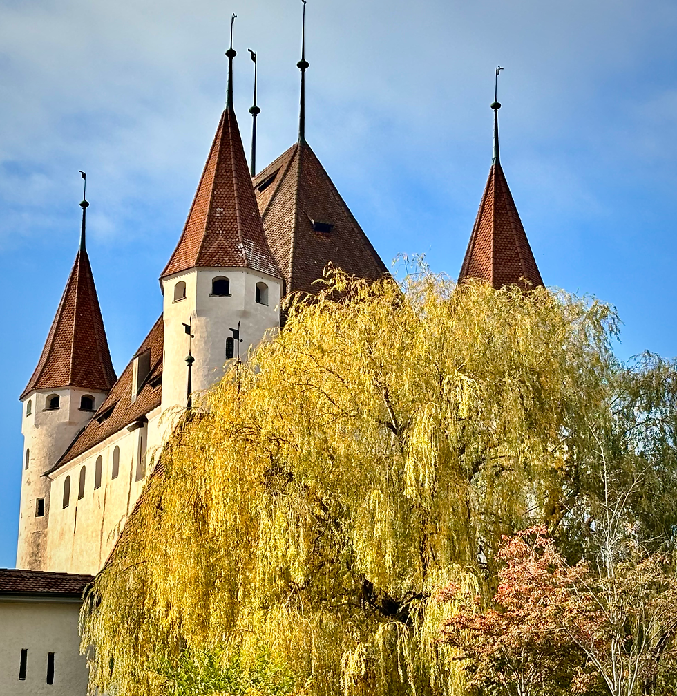 Impressionen vom Thuner Schloss, ob von der Altstadt nach oben oder durchs Herbstlaub...