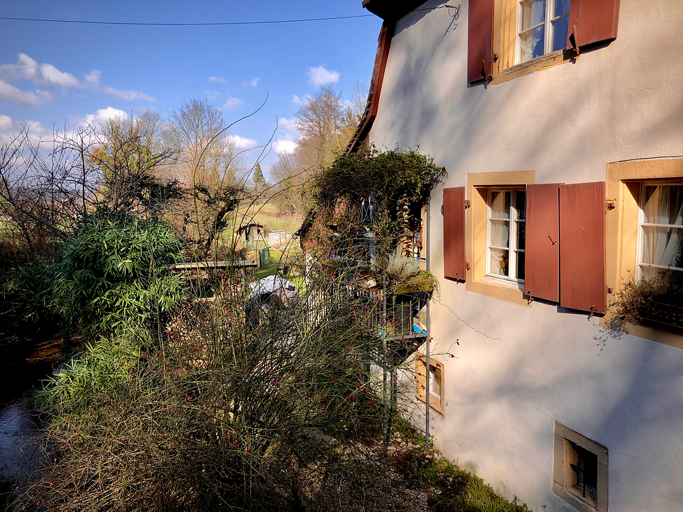 Das idyllische Gärtnerhäusschen.
