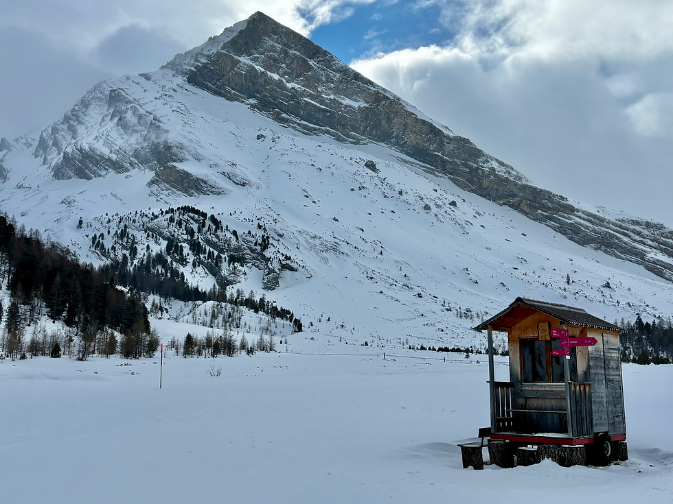 Und weiter über die Spitellmatte Richtung Schwarenbach. Den Altels immer im Blick.