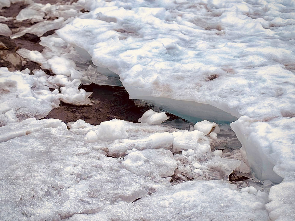 Am Seeufer ist die Eisdicke gut zu erkennen.