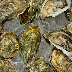 Mein erster Kochkurs